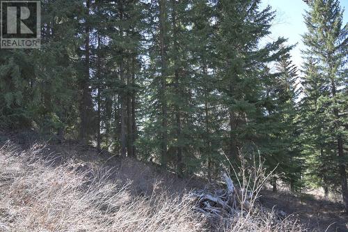 7988 China Valley Road, Falkland, BC - Outdoor With View