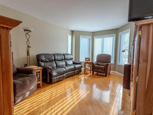 Salon - 684Z 8E Rang, Saint-Théodore-D'Acton, QC - Indoor Photo Showing Living Room