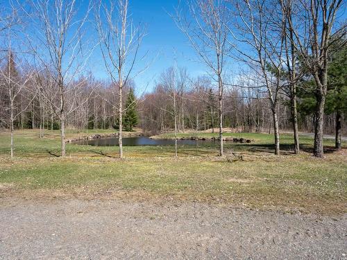 Terre/Terrain - 684Z 8E Rang, Saint-Théodore-D'Acton, QC - Outdoor With View