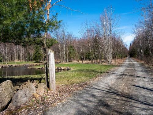 Terre/Terrain - 684Z 8E Rang, Saint-Théodore-D'Acton, QC - Outdoor With View