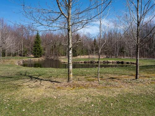 Terre/Terrain - 684Z 8E Rang, Saint-Théodore-D'Acton, QC - Outdoor With View