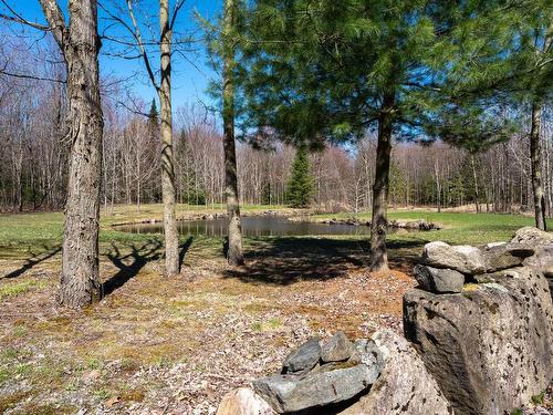 Land/Lot - 684 8E Rang, Saint-Théodore-D'Acton, QC 