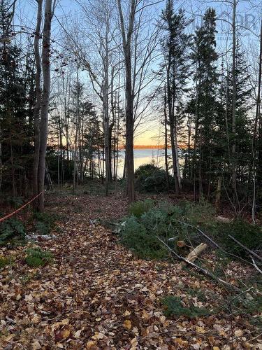 Lot 01 Highway 6, East Wallace, NS 