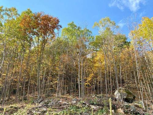 Terre/Terrain - 37 Ch. Léopold-Marsolais, Val-Des-Monts, QC 