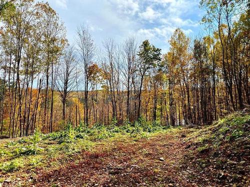 Terre/Terrain - 37 Ch. Léopold-Marsolais, Val-Des-Monts, QC 