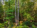 0 Axe Lake Rd, Mcmurrich/Monteith, ON 