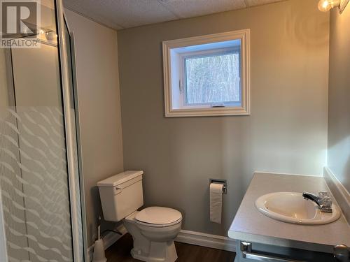 137A Cpl. S. Bouzane Boulevard, Springdale, NL - Indoor Photo Showing Bathroom