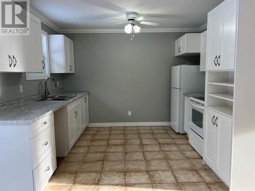 137A Cpl. S. Bouzane Boulevard, Springdale, NL - Indoor Photo Showing Kitchen With Double Sink