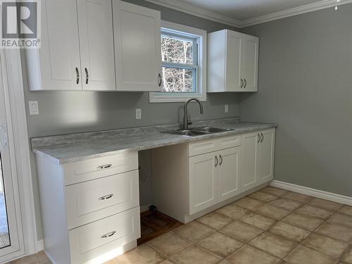 137A Cpl. S. Bouzane Boulevard, Springdale, NL - Indoor Photo Showing Kitchen With Double Sink