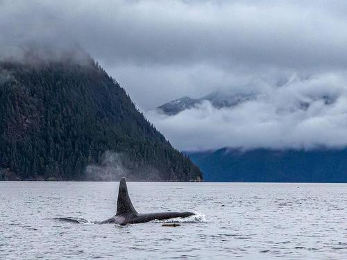 18 Rendezvous Island, See Remarks, BC 