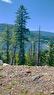 246 Bayview Drive, Sicamous, BC  - Outdoor With Body Of Water With View 