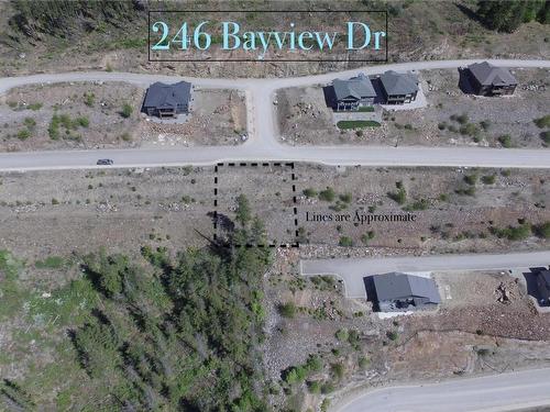 246 Bayview Drive, Sicamous, BC - Outdoor With View