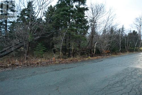 Lot 2 Church Terrace, Conception Bay South, NL 