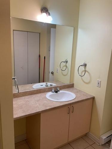 Salle de bains - 314-253 Mtée Sanche, Boisbriand, QC - Indoor Photo Showing Bathroom