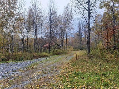 Other - 1425 6E Rang, Saint-René, QC - Outdoor With View