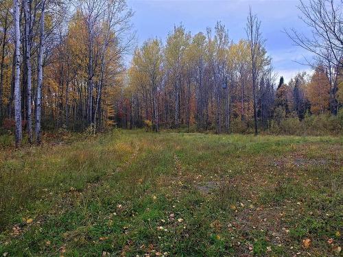 Wooded area - 1425 6E Rang, Saint-René, QC - Outdoor With View