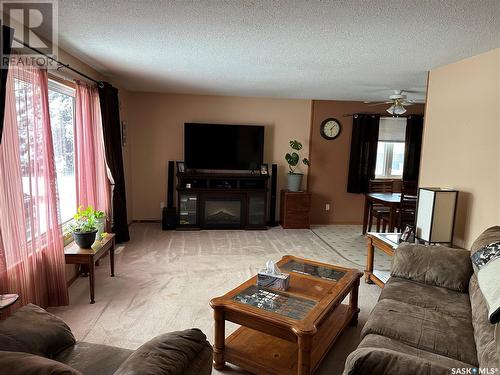 5172 Kings Avenue, Gull Lake, SK - Indoor Photo Showing Living Room