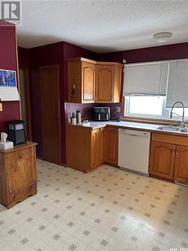 5172 Kings Avenue, Gull Lake, SK - Indoor Photo Showing Kitchen With Double Sink