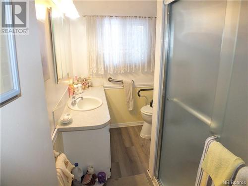 570 Route 390, Rowena, NB - Indoor Photo Showing Bathroom