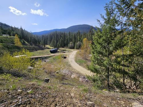 5965 Paradise Valley Road, Winlaw, BC - Outdoor With View