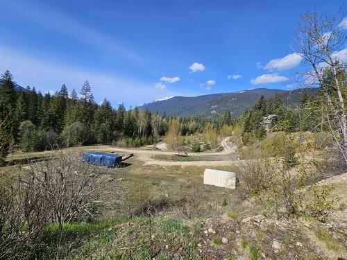 5965 Paradise Valley Road, Winlaw, BC - Outdoor With View