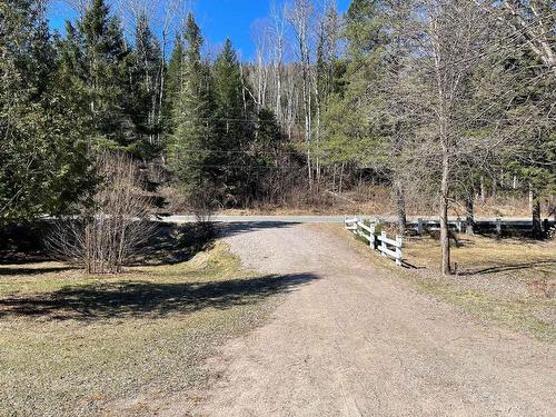 Land/Lot - 1020 Rang  O., La Tuque, QC - Outdoor With View