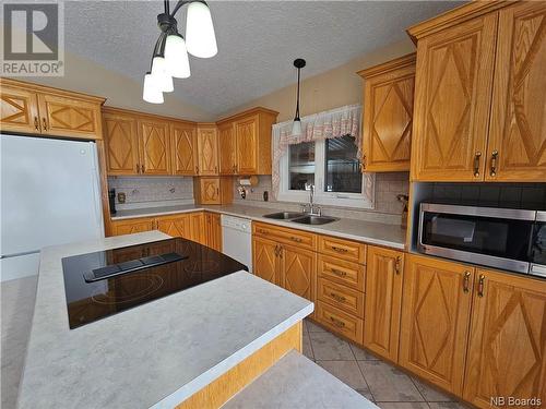 105 Chemin Saint-Andre, Saint-André, NB - Indoor Photo Showing Kitchen With Double Sink