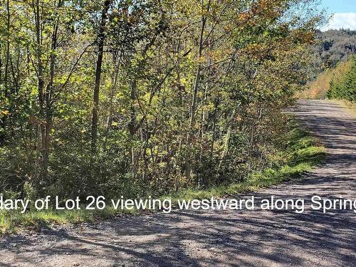 Lot 26 Spring Tide Lane, Two Islands, NS 