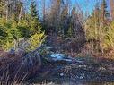 Lot 21-2 Country Harbour Road, Melrose, NS 
