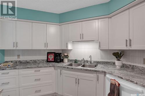 103 250 Athabasca Street E, Moose Jaw, SK - Indoor Photo Showing Kitchen With Double Sink With Upgraded Kitchen