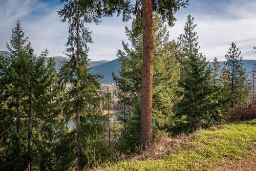 2517 5Th Ave, Castlegar, BC - Outdoor With View