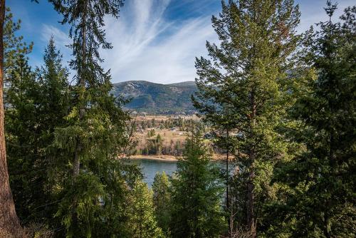 2517 5Th Ave, Castlegar, BC - Outdoor With View