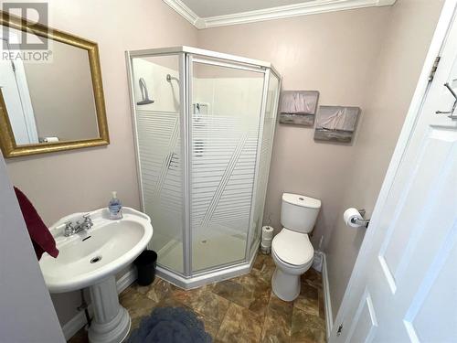 48 Wireless Road, Botwood, NL - Indoor Photo Showing Bathroom