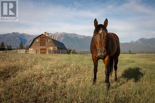 4901 Ld Ranch Road, Kimberley, BC - Outdoor With View