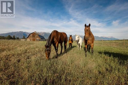 4901 Ld Ranch Road, Kimberley, BC - Outdoor With View