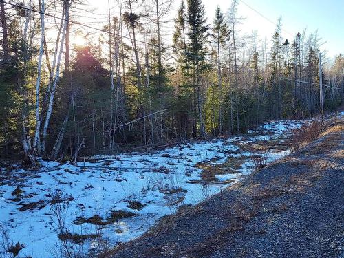 Lot 21-1 Country Harbour Road, Melrose, NS 