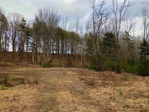 Lot 1-24 River Mill Terrace, Conquerall Mills, NS 