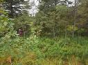 Lot 5 No 12 Highway, Murphy Lake, NS 