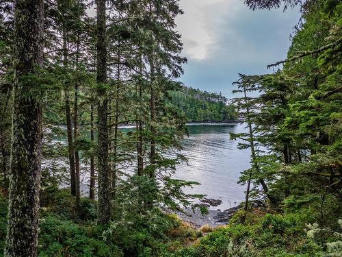 330 Reef Point Rd, Ucluelet, BC - Outdoor With Body Of Water With View