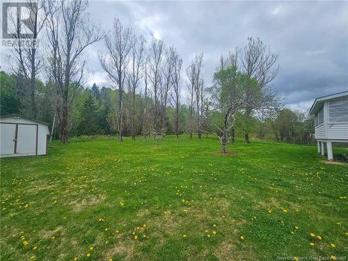353 Back Greenfield Road, Greenfield, NB - Outdoor With View