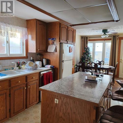 494 Morin St, Sault Ste. Marie, ON - Indoor Photo Showing Kitchen With Double Sink