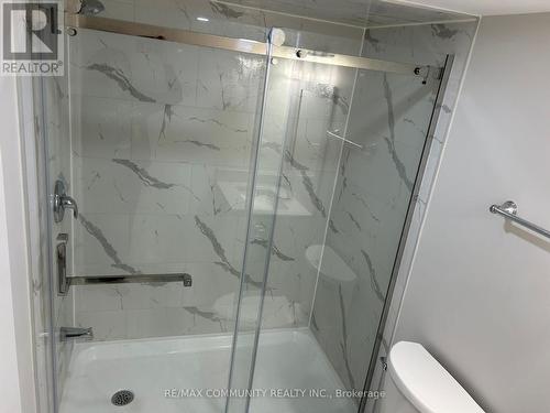 Bsmt - 1257 Roper Drive, Milton, ON - Indoor Photo Showing Bathroom