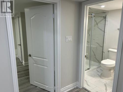 Bsmt - 1257 Roper Drive, Milton, ON - Indoor Photo Showing Bathroom