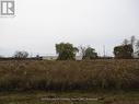 6060 Young St, West Lincoln, ON 