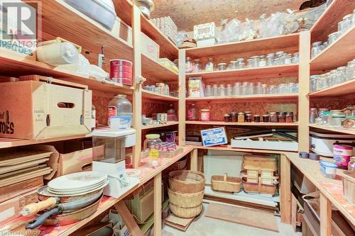 Basement pantry - 538 Queen Street N, Paisley, ON - Indoor With Storage