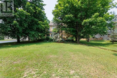 Large yard areas - 538 Queen Street N, Paisley, ON - Outdoor