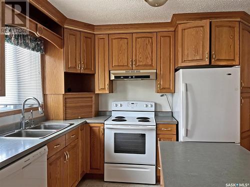 42 Shannon Street, Lanigan, SK - Indoor Photo Showing Kitchen With Double Sink