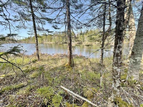 Lot 3 Pigott Lake Road, Lakelands, NS 