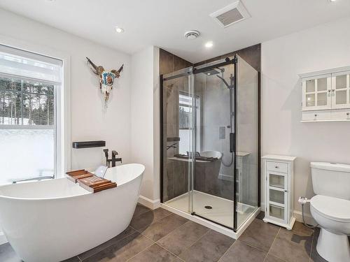Salle de bains - 32Z Rue Du Hameau, Saint-Hippolyte, QC - Indoor Photo Showing Bathroom