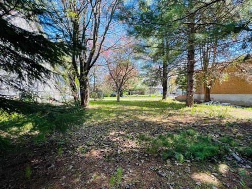 Land/Lot - Rue Lauzon, Mascouche, QC 